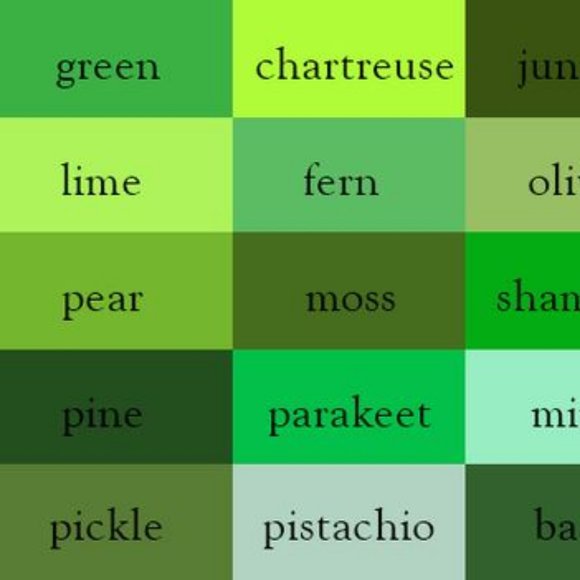 Clothing || Ties & Scarves - Picture 5 of 14